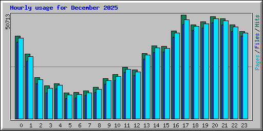 Hourly usage for December 2025