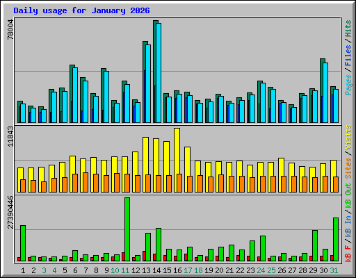 Daily usage for January 2026