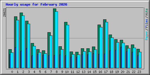 Hourly usage for February 2026